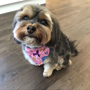 Meet your Posher, Frances